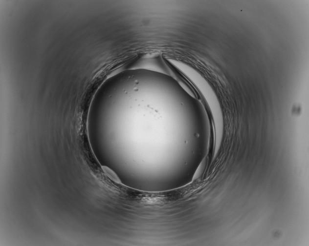 X0000100370560200806131040