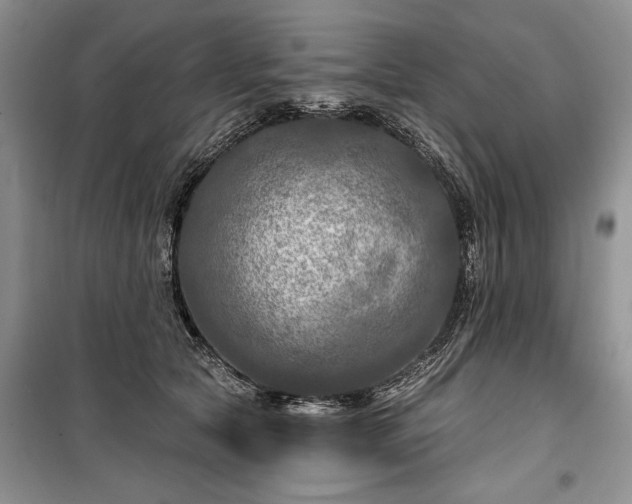 X0000100370561200806131040