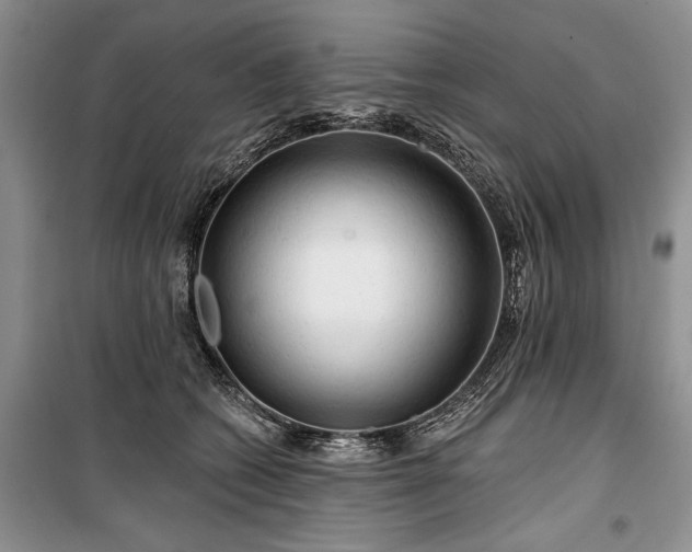 X0000100370562200806131040