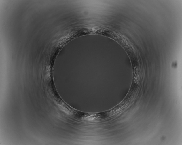 X0000100370563200806131040