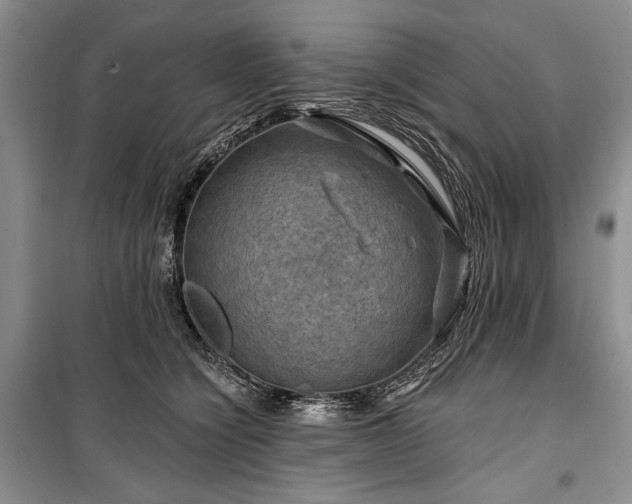 X0000100370564200806131040