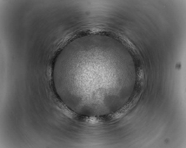 X0000100370565200806131040