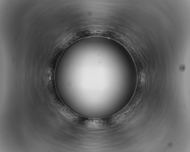 X0000100370567200806131040