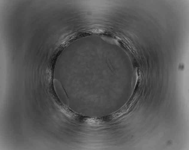 X0000100370568200806131040