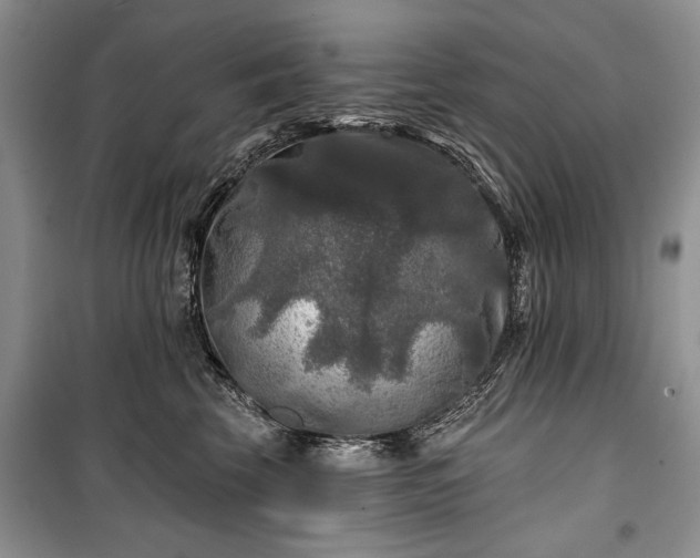 X0000100370569200806131040