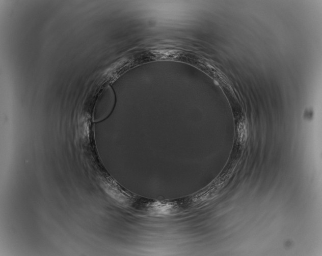 X0000100370570200806131040