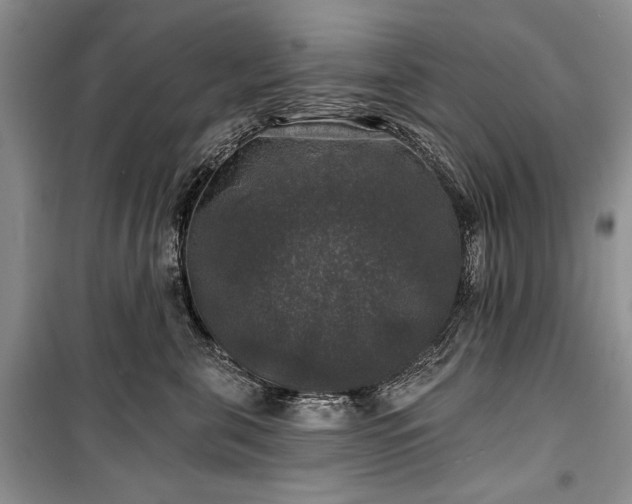 X0000100370571200806131040