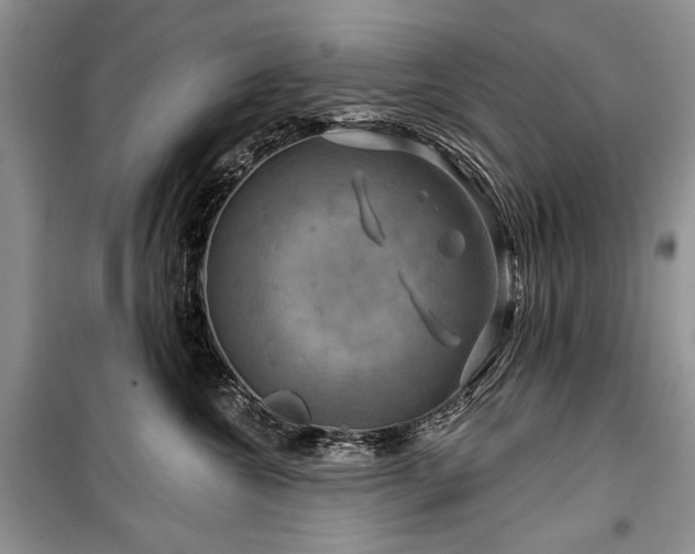 X0000100370572200806131040