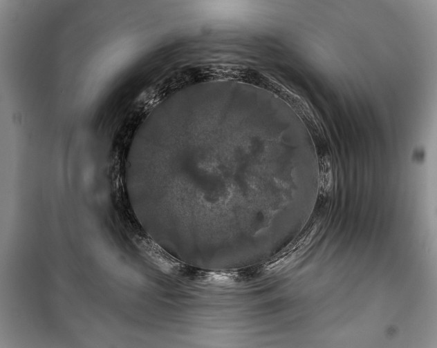 X0000100370573200806131040