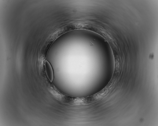 X0000100370574200806131040