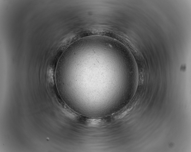 X0000100370575200806131040