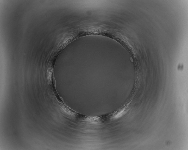 X0000100370576200806131040