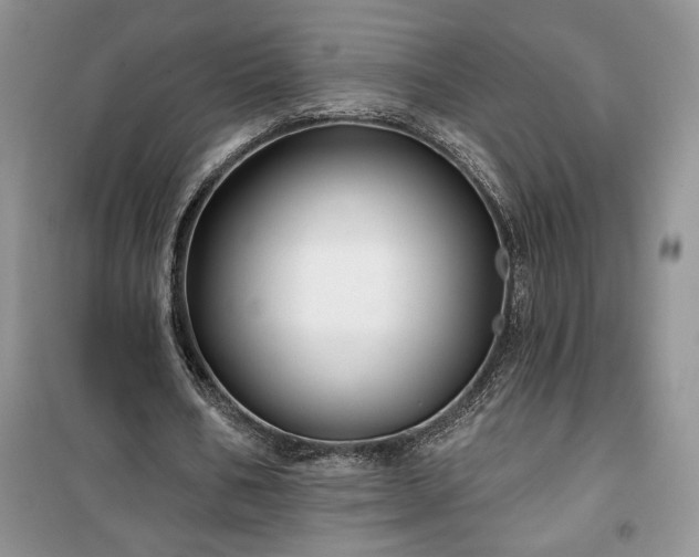 X0000100370578200806131040