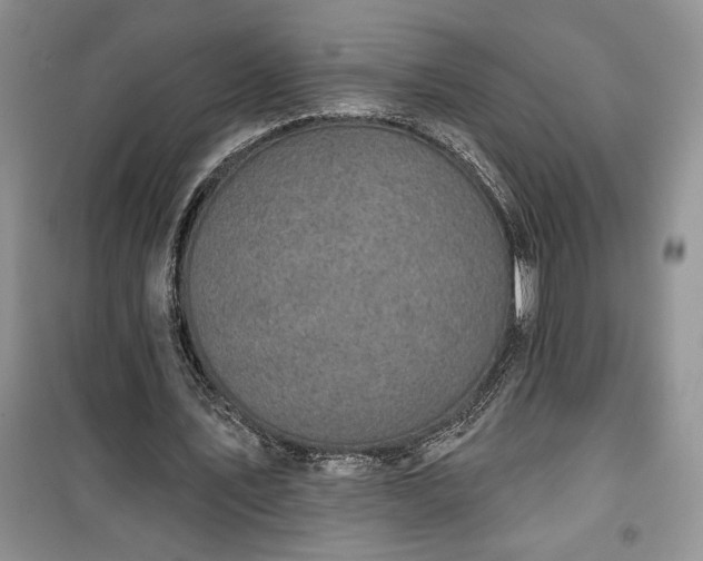 X0000100370579200806131040