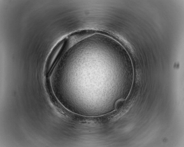 X0000100370580200806131040