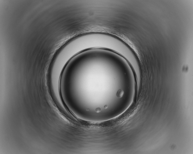 X0000100370581200806131040