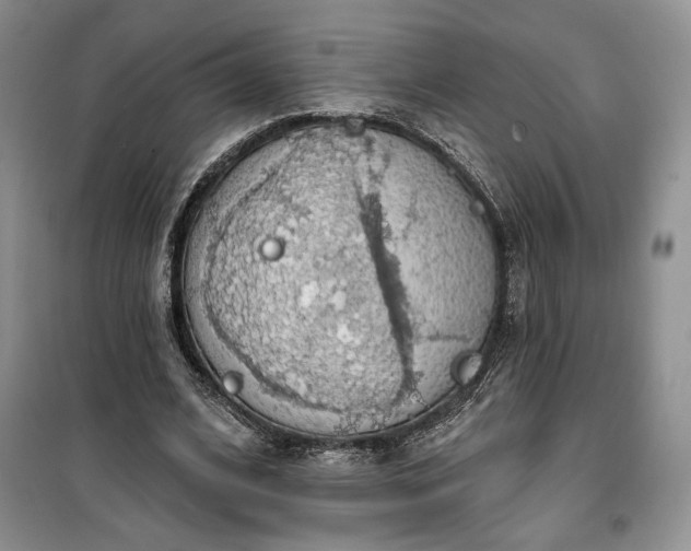 X0000100370584200806131039