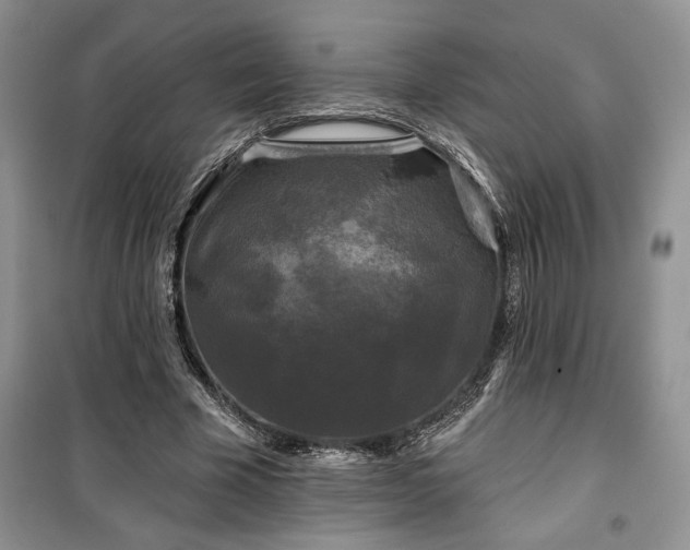 X0000100370585200806131039