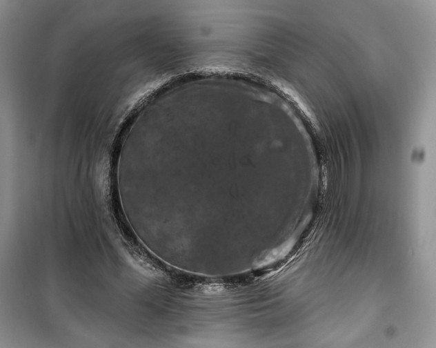 X0000100370588200806131039