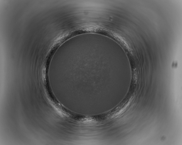 X0000100370589200806131039