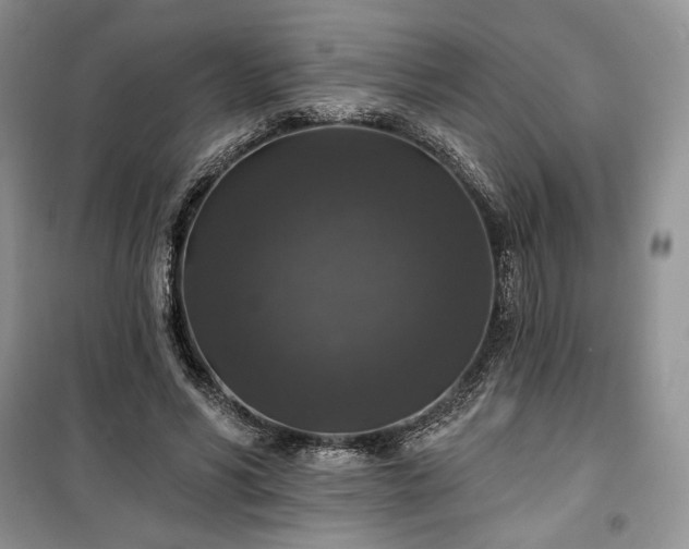 X0000100370590200806131039