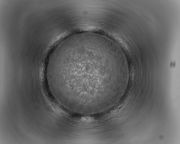 X0000100370591200806131039