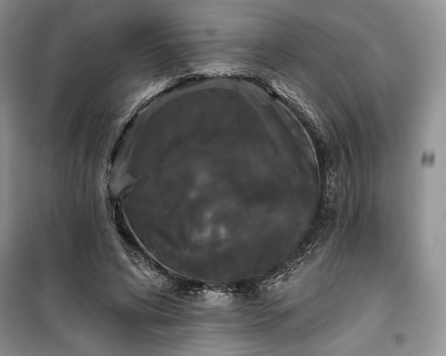 X0000100370592200806131039