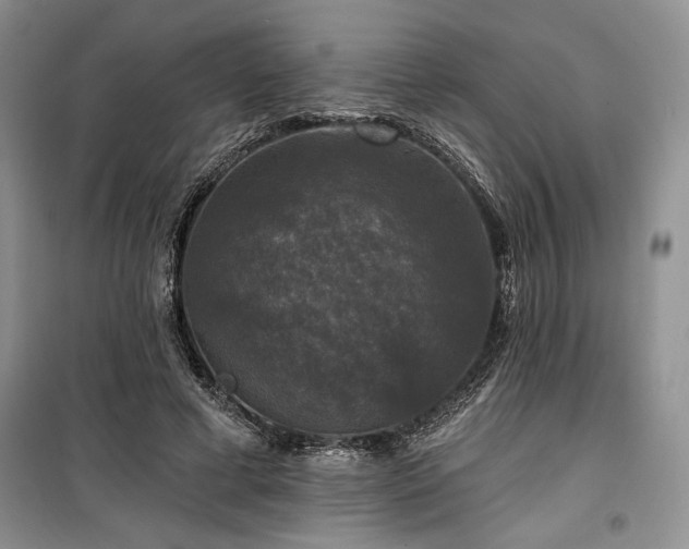 X0000100370593200806131039