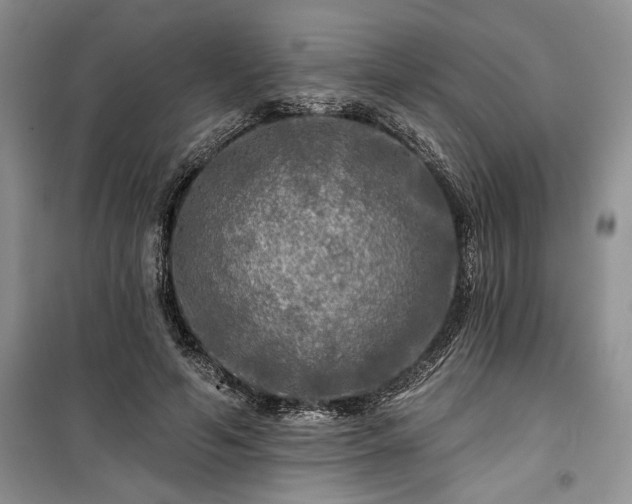 X0000100370594200806131039