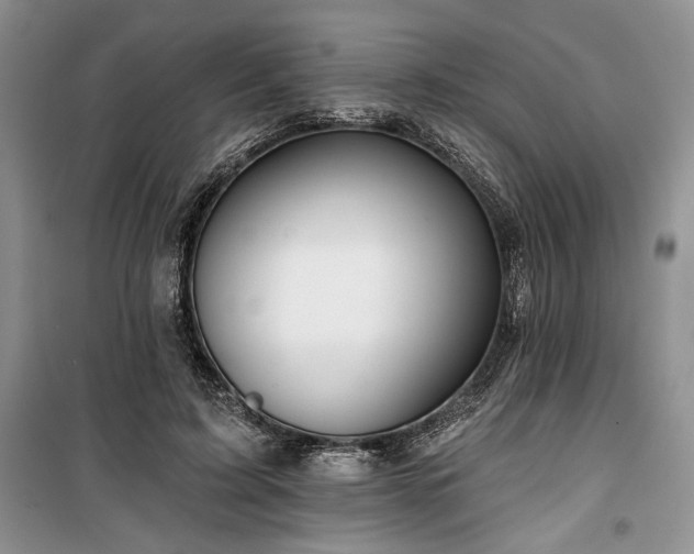 X0000100370595200806131039