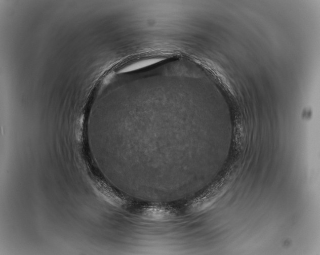 X0000100370596200806131039