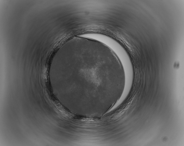 X0000100370597200806131039