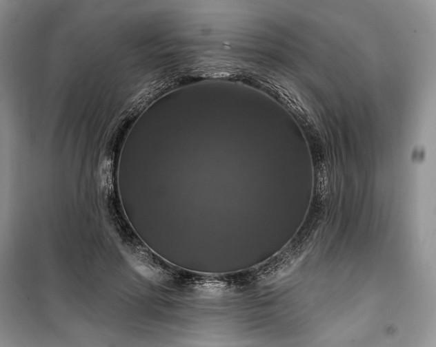 X0000100370598200806131039