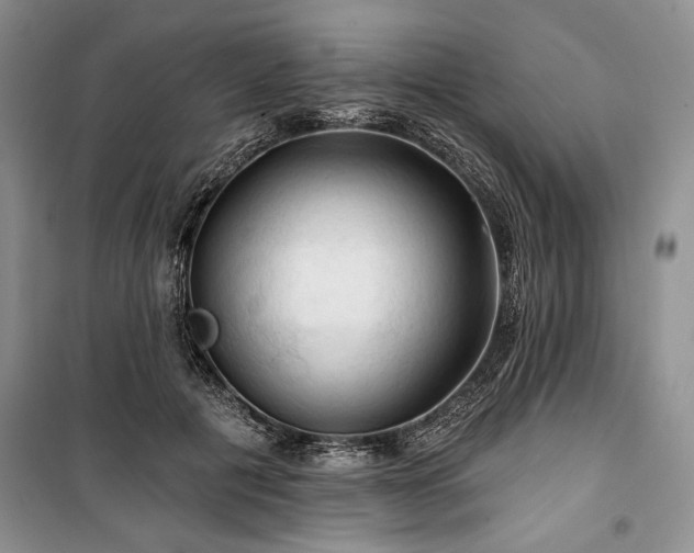 X0000100370601200806131039