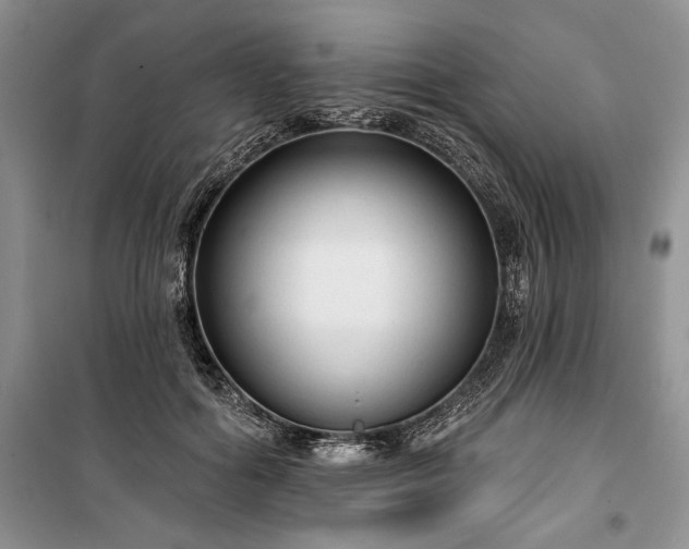 X0000100370602200806131039