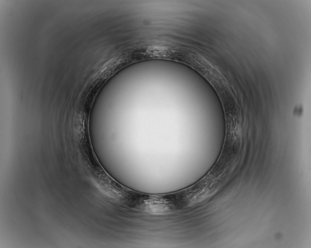 X0000100370603200806131039