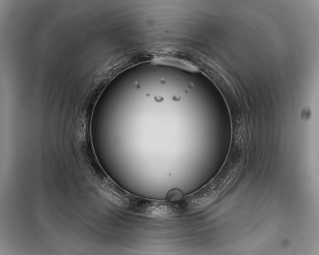 X0000100370604200806131039