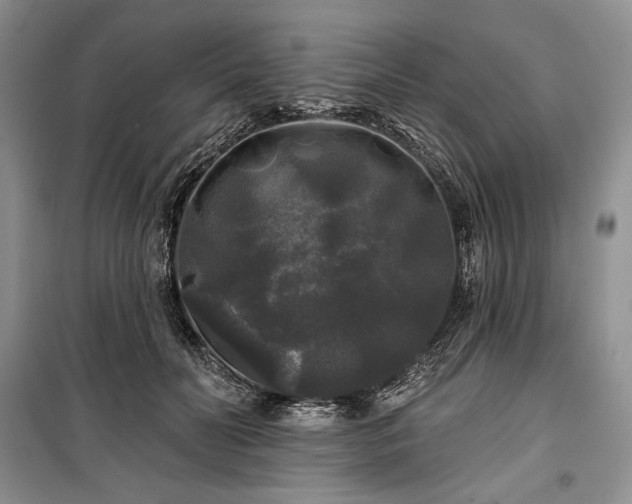 X0000100370606200806131039