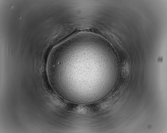 X0000100370608200806131039