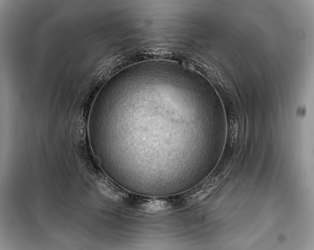 X0000100370609200806131039