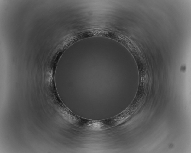 X0000100370610200806131039