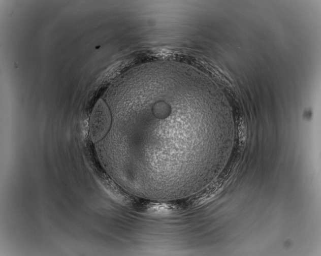 X0000100370611200806131039