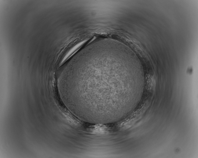 X0000100370612200806131039