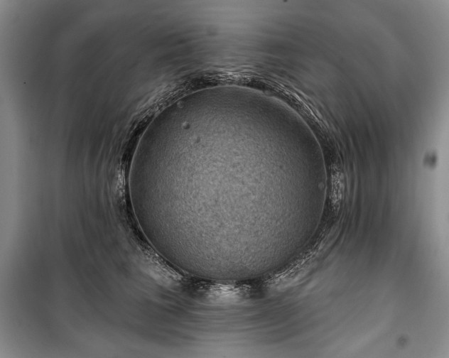 X0000100370613200806131039