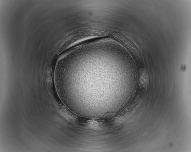 X0000100370616200806131039