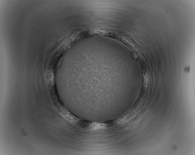 X0000100370617200806131039