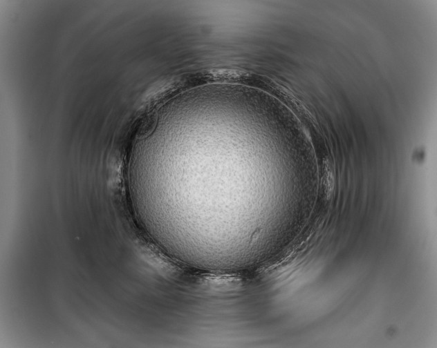 X0000100370619200806131039