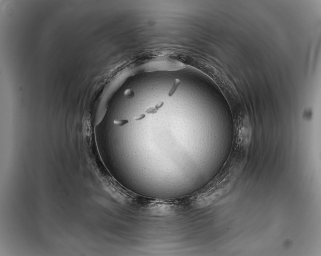 X0000100370620200806131039