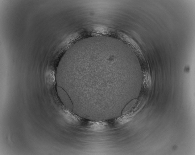 X0000100370621200806131039