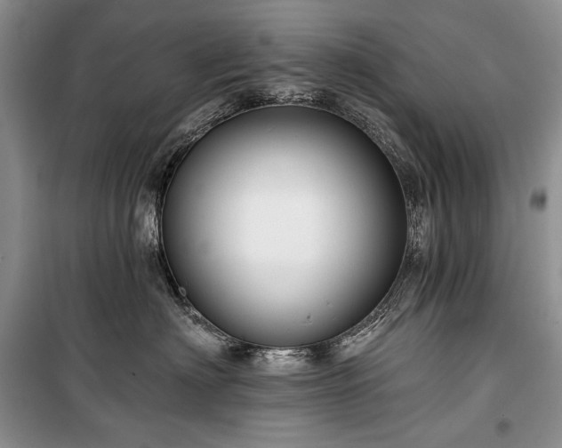 X0000100370622200806131039